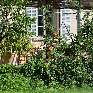 Frühstückspension Les Passiflores, Grasse